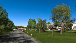 Tree Improved 4K